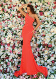 Style: 810113